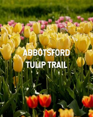 Image post by @tourismabbotsford on Instagram