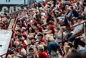 Image post by @gamecocksoftball on Instagram