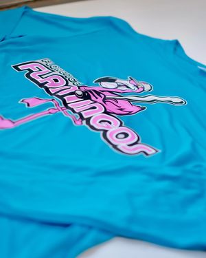 Image post by @floflamingos on Instagram