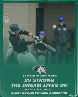Image post by @stevensonbsb on Instagram