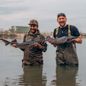 Image post by @brothercarp on Instagram