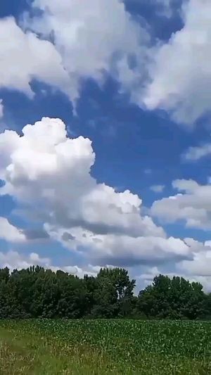 Video post by @alyshiafaith on Instagram