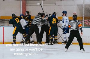 Video post by @calhockey on TikTok