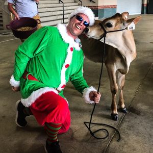 Image post by @altoonacurve on Instagram