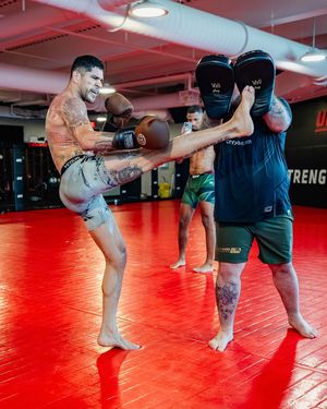 Image post by @ufc_brasil on Instagram