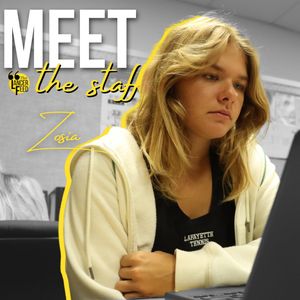 Image post by @thelancerfeed on Instagram