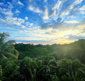 Image post by @kevinwathey on Instagram