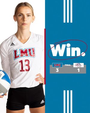 Image post by @lmulionswvb on Instagram