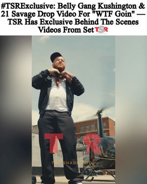 Image post by @theshaderoom on Instagram