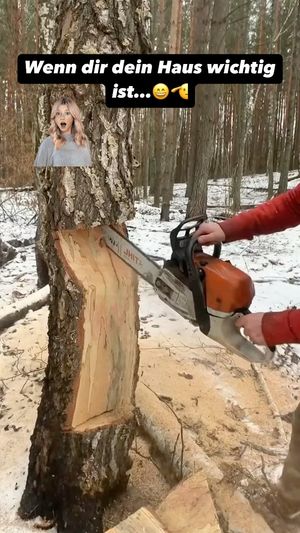 Video post by @kulpenberg_designs on Instagram