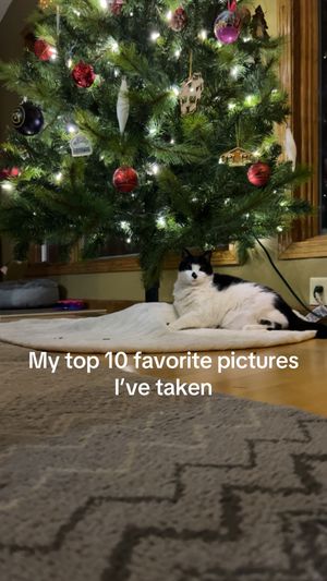 Video post by @em.thompson01 on TikTok