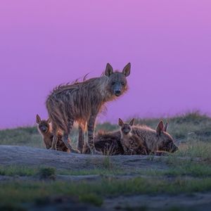 Image post by @bbcearth on Instagram