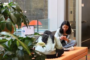 Image post by @uchicagopme on Instagram