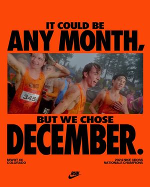 Image post by @nikerunning on Instagram
