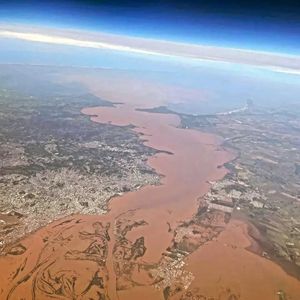 Image post by @operitoambiental on Instagram