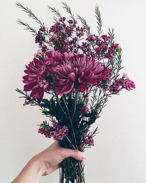 Image post by @ugg on Instagram