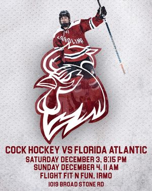 Image post by @cockhockey on Instagram