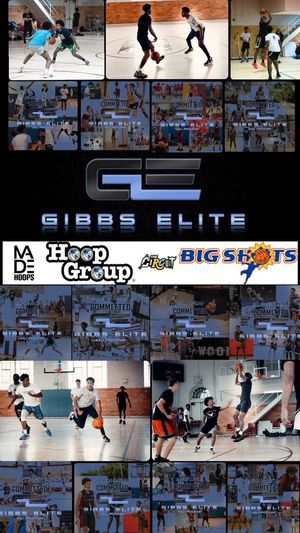 Image post by @GibbsEliteHoops on Twitter/X