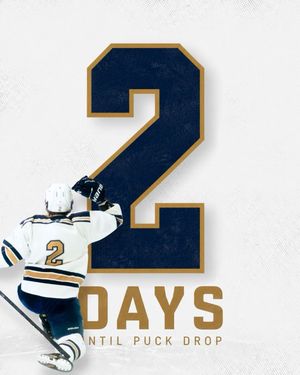 Image post by @gsuhockey on Instagram
