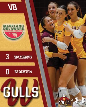 Image post by @suseagulls on Instagram