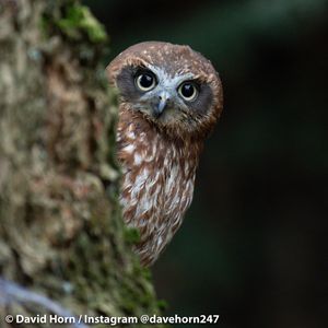 Image post by @davehorn247 on Instagram