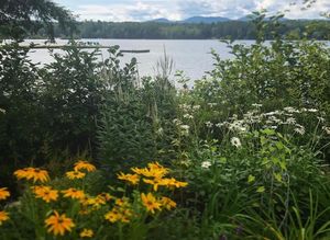 Image post by @themainemag on Instagram