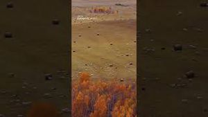 Video post by @dji on YouTube