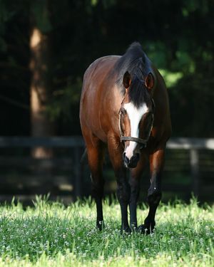 Image post by @coolmoreamerica on Instagram