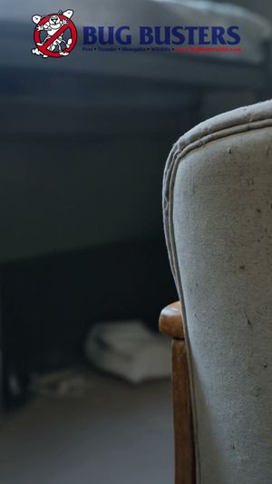 Video post by @bugbustersusa on TikTok