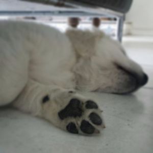 Image post by @mikethewhitegolden on Instagram