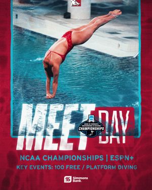 Image post by @razorbackswimdive on Instagram