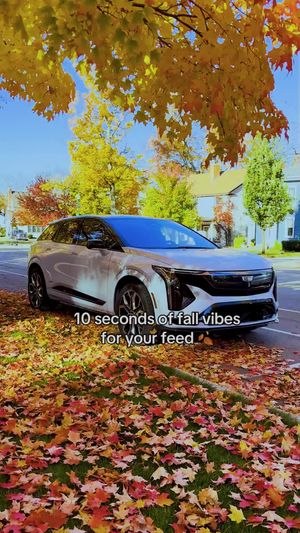 Video post by @cadillac on TikTok