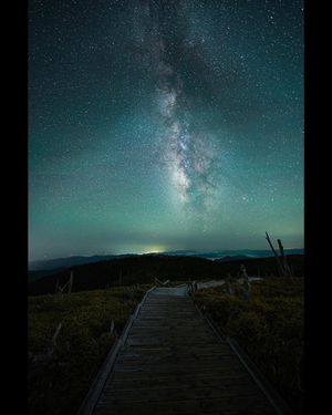 Image post by @fujinami_shintaro on Instagram
