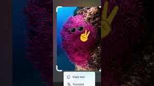 Video post by @google on YouTube