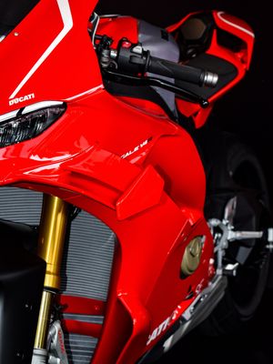 Image post by @panigalers on Instagram