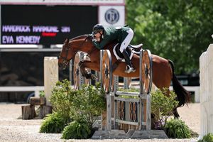 Image post by @kyhorseshows on Instagram