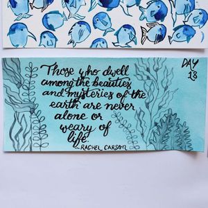 Image post by @fromthebowseat on Instagram