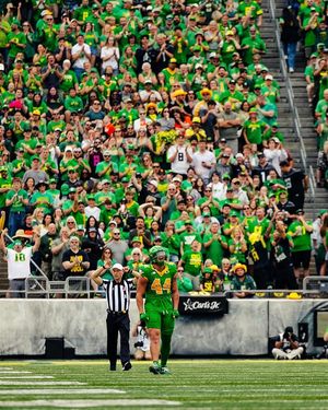 Image post by @teitumtuioti on Instagram