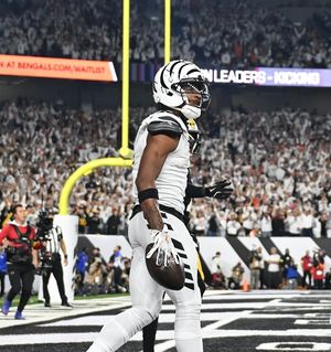 Image post by @bengals on Instagram