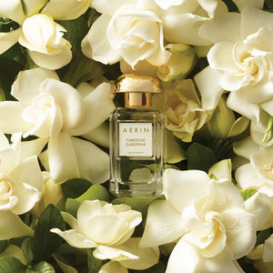Image post by @dillards on Instagram