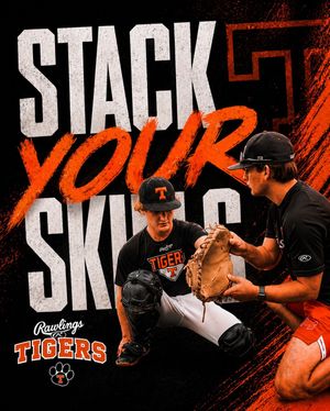 Image post by @rawlingstigers on Instagram