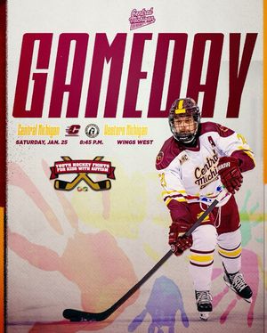 Image post by @cmuhockeyd3 on Instagram