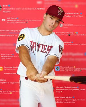 Image post by @witimberrattlers on Instagram