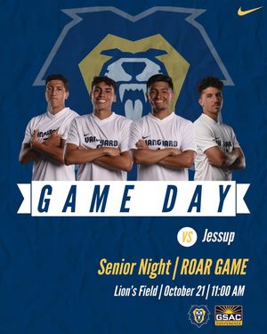 Image post by @vulions on Instagram