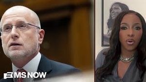 Video post by @msnbc on YouTube