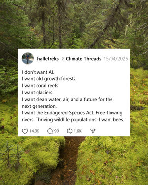 Image post by @greenpeace on Instagram