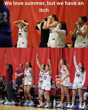Image post by @mitwbball on Instagram