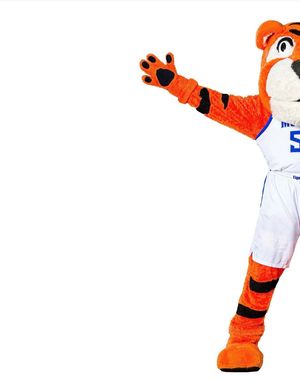 Video post by @uofmemphis on TikTok