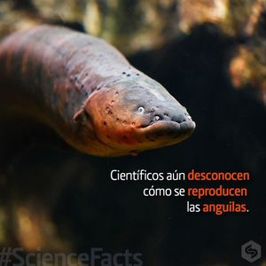 Image post by @prsciencetrust1 on Instagram
