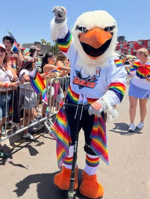 Image post by @sdgullsahl on Instagram